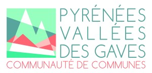 logo ccpvg20 logo ccpvg20